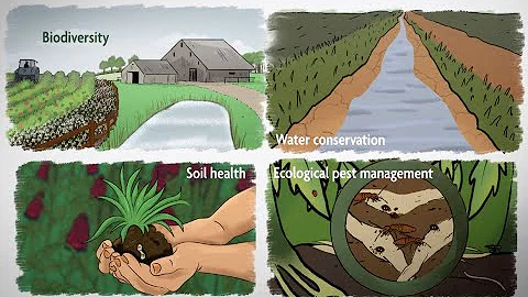 What is Sustainable Agriculture? Episode 1: A Whole-Farm Approach to Sustainability