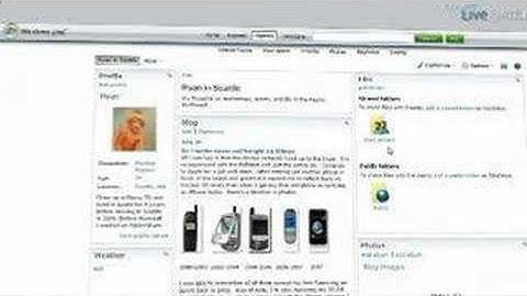 Windows Live SkyDrive - Shared Folders