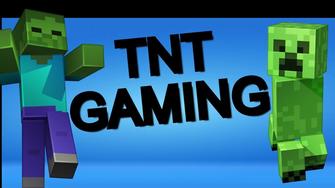 meet the Paladin Danse