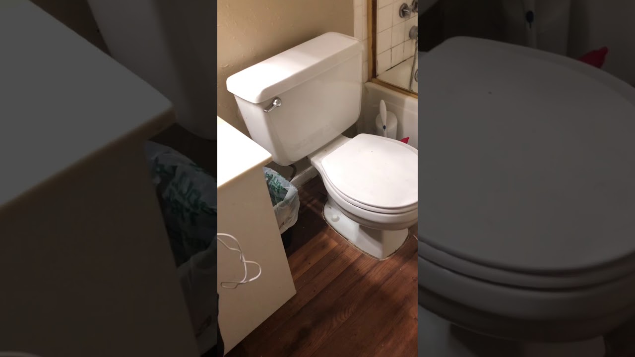 Oxford Hills STL Apartment Walkthrough YouTube