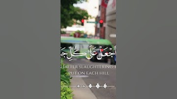 وَإِذْ قَالَ إِبْرَاهِيمُ رَبِّ أَرِنِي كَيْفَ تُحْيِي الْمَوْتَىٰ ۖسورة : البقرة - Al-Baqarah  -