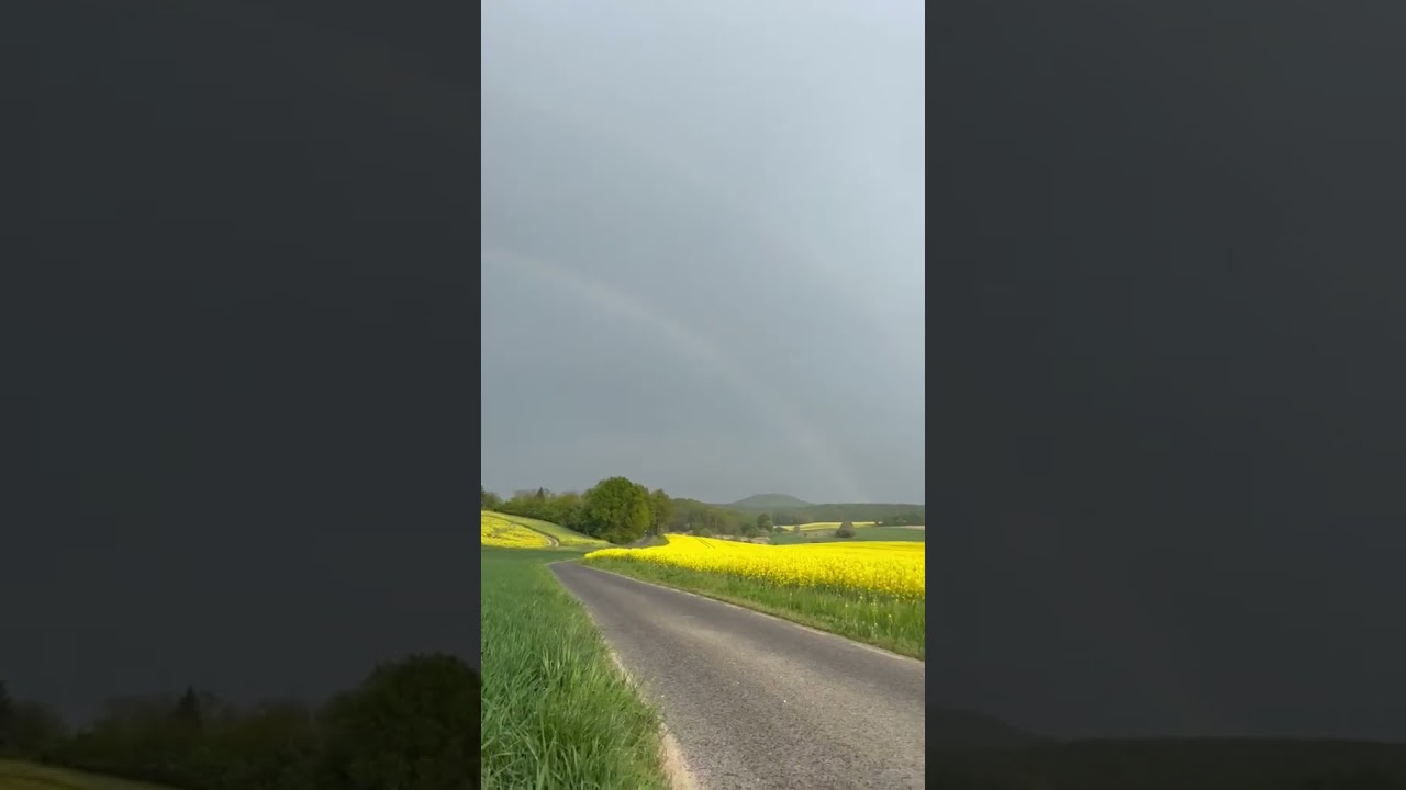 Tęcza nad Zamkiem Grodziec