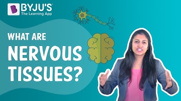 What are Nervous Tissues? I Class 9 I Learn With BYJU