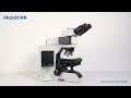 Mshot Fluorescence module