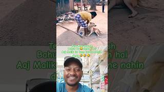 ربما لم تر  مثل هذه الشقاوة من كلبك من قبل                                                      سمعها