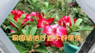 1030625抽油煙機開啟運轉清潔