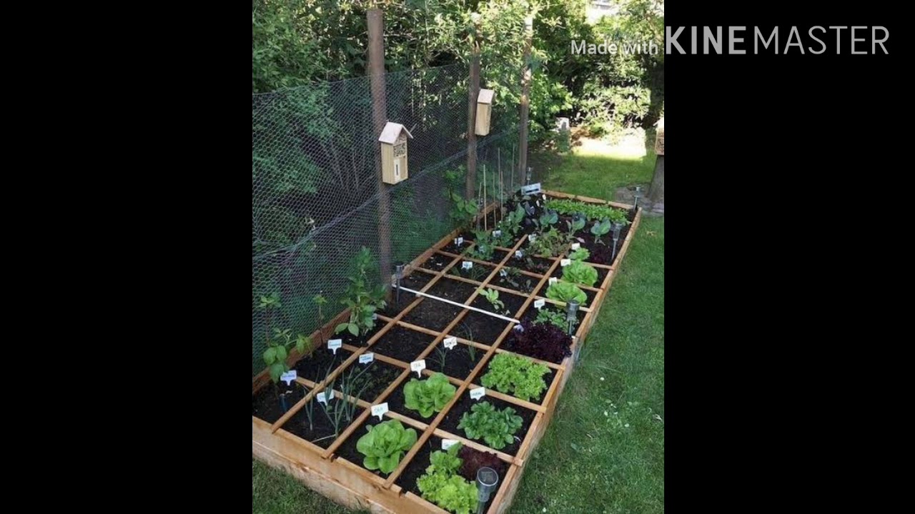 21 Vegetable Garden Ideas YouTube