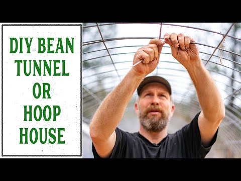 how-to-make-a-diy-bean-tunnel-