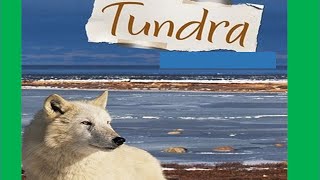 Tundra biome - Facts ,Plants ,Animals ,Climate for kids