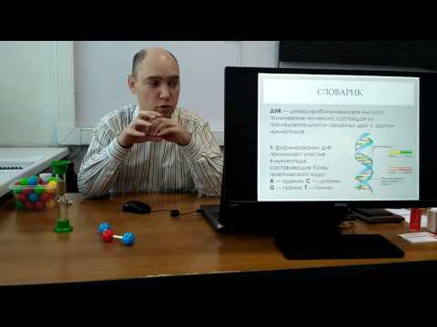 Биоинформатика-2017. 03. Подсчёт нуклеотидов ДНК