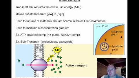 Exploring the Cellular Basis of Life Screencast Session 8.m4v