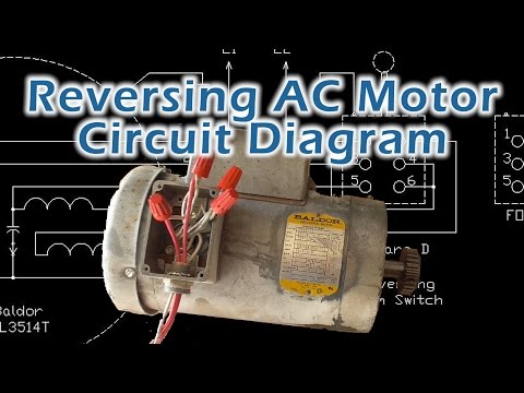 30 Bodine Motor Wiring Diagram - Wiring Diagram Database