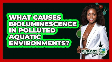 What Causes Bioluminescence In Polluted Aquatic Environments? - Biology For Everyone