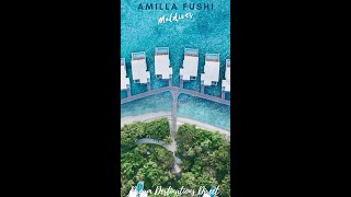 Amilla Fushi Maldives | Top Resorts in Maldives 2021 #shorts