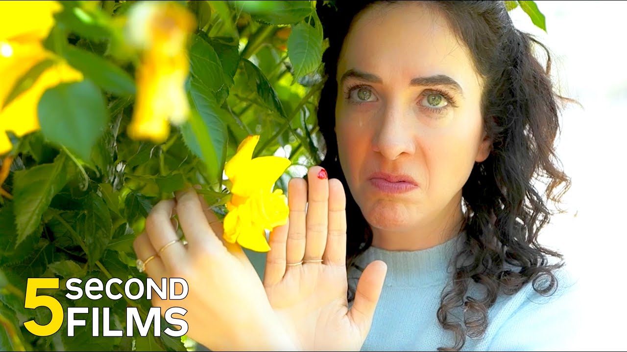 Roses Are Red YouTube