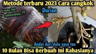 Just 10 months already bearing fruit !! The newest way to graft durians so that they bear fruit