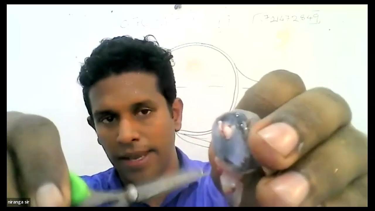 Grade 9 2023 05 16 YouTube grade-9-2023-05-16-youtube