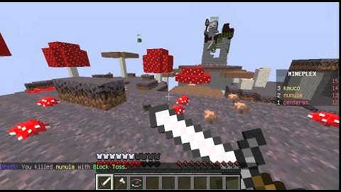 【Minecraft】Mineplex Hacker Report #30 - nunula