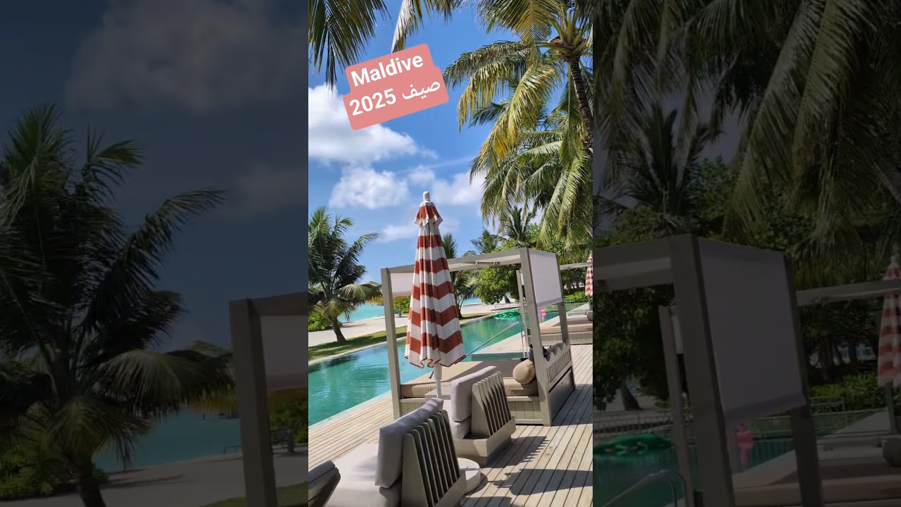 أستاذ التعليم الابتدائي في جزر المالديف Maldive صيف 2025