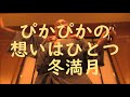 アラ見てたのね 都はるみ/酔っぱらい爺さん