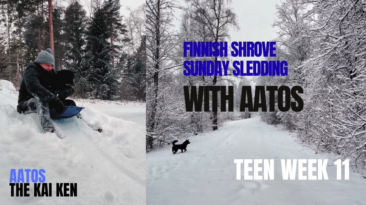 Aatos Kaiken Teen week 11 | Finnish Shrove Sunday Sledding With Aatos