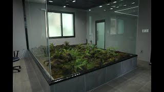 Making a Indoor Moss Garden 'Big Terrarium'