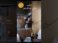 عملوها الوحوش يا ريتني كنت معاهم
