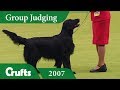 Flat Coated Retriever wins Gundog Group Judging at Crufts 2007