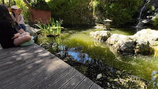(4k) Summer walk. Wellington Botanic Garden &amp; City | January 2023 | New Zealand.