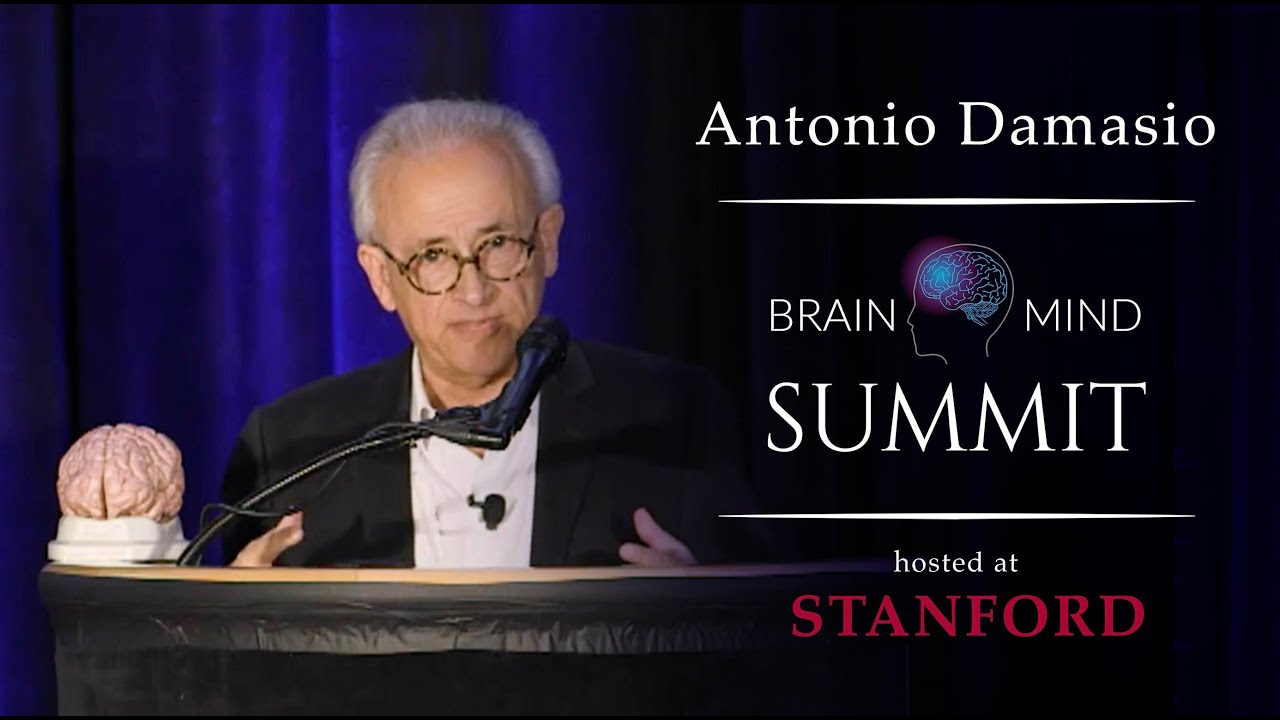 The Mind and the Brain - Antonio Damasio at BrainMind 