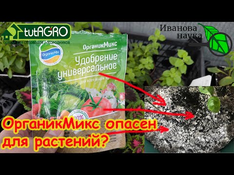 Видео: Из-за Органик Микс сплошная плесень и болезни? Organic Mix убивает растения и урожай?
