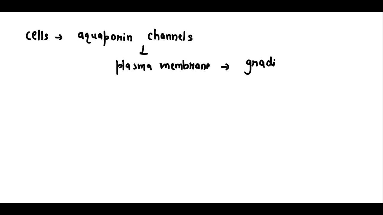 Which Of The Following Statements Is True About Memory Cells Question 10 1 pt Is the following statement true or false? Cells with