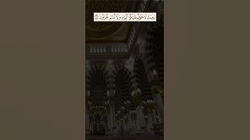 تلاوات مختارة ﴿  الْأَخِلَّاءُ يَوْمَئِذٍ بَعْضُهُمْ لِبَعْضٍ عَدُوٌّ إِلَّا الْمُتَّقِينَ  ﴾