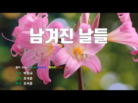 [은성 반주기] 남겨진날들 - 박완규