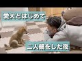 愛犬との二人鍋がかけがえのない思い出になりました！