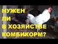 Выгодно ли держать кур несушек?  Ч. 1. Комбикорм.