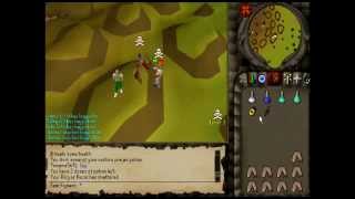 Fear Figment - Pking Video 5 » 1/2