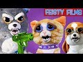 Feisty cats vs dogs compilation who is feistier