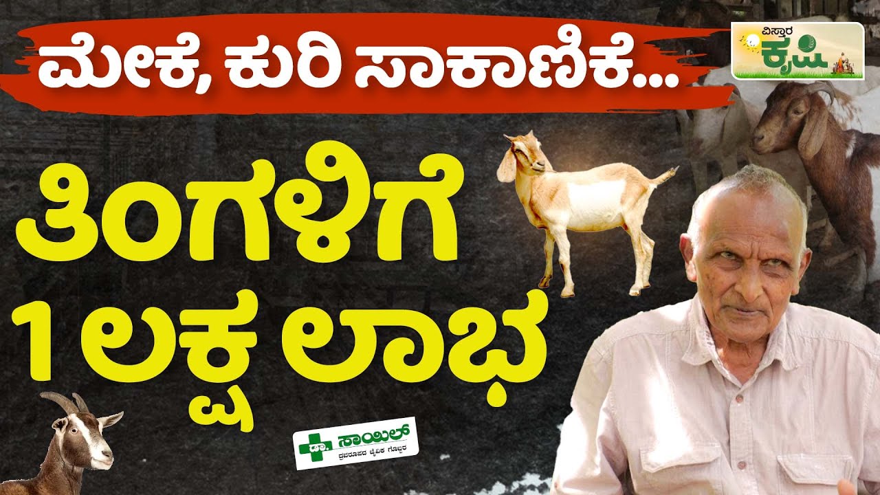 ಮೇಕೆ, ಕುರಿ ಸಾಕಾಣಿಕೆಯಿಂದ ತಿಂಗಳಿಗೆ 1 ಲಕ್ಷ ಲಾಭ..! | Vistara Krishi | Sheep And Goat Farming