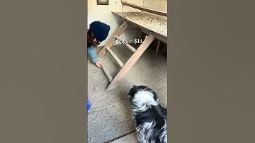 Sand vs. shavings in the coop- cost breakdown!💰🐓✨ #chickens #sand #bedding #litter #farmlife #cost