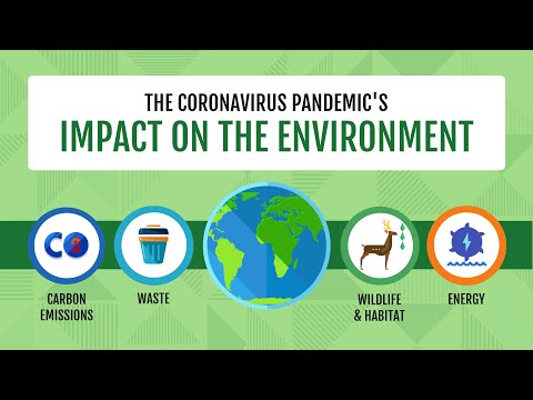 How should Corona(Covid -19) influence the fight against Climate Change