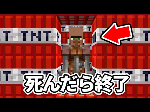TNT村に住む村人を死なせたら即終了【マイクラ】