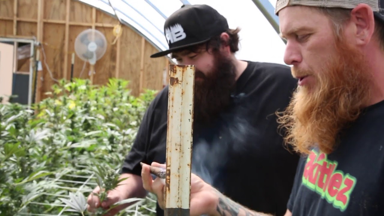 Exotic Commission - 365 NO DAYS OFF music video