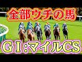 マイルCSをうちの管理場だけで開催した結果【ロマン牧場26話】