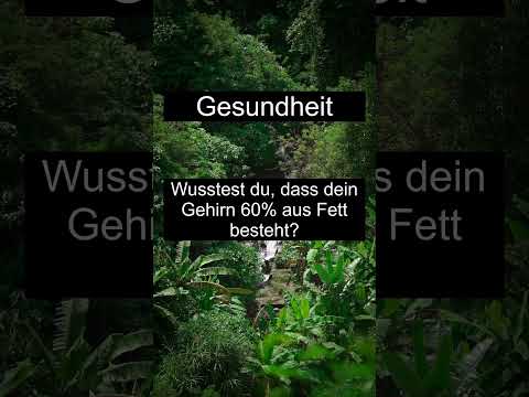❓🤔 Wusstest du