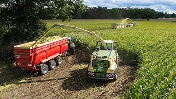 Mais 2025 | 24 ROWS | Krone BiG X 1180 + 780 | Big Transport | Busche Estorf