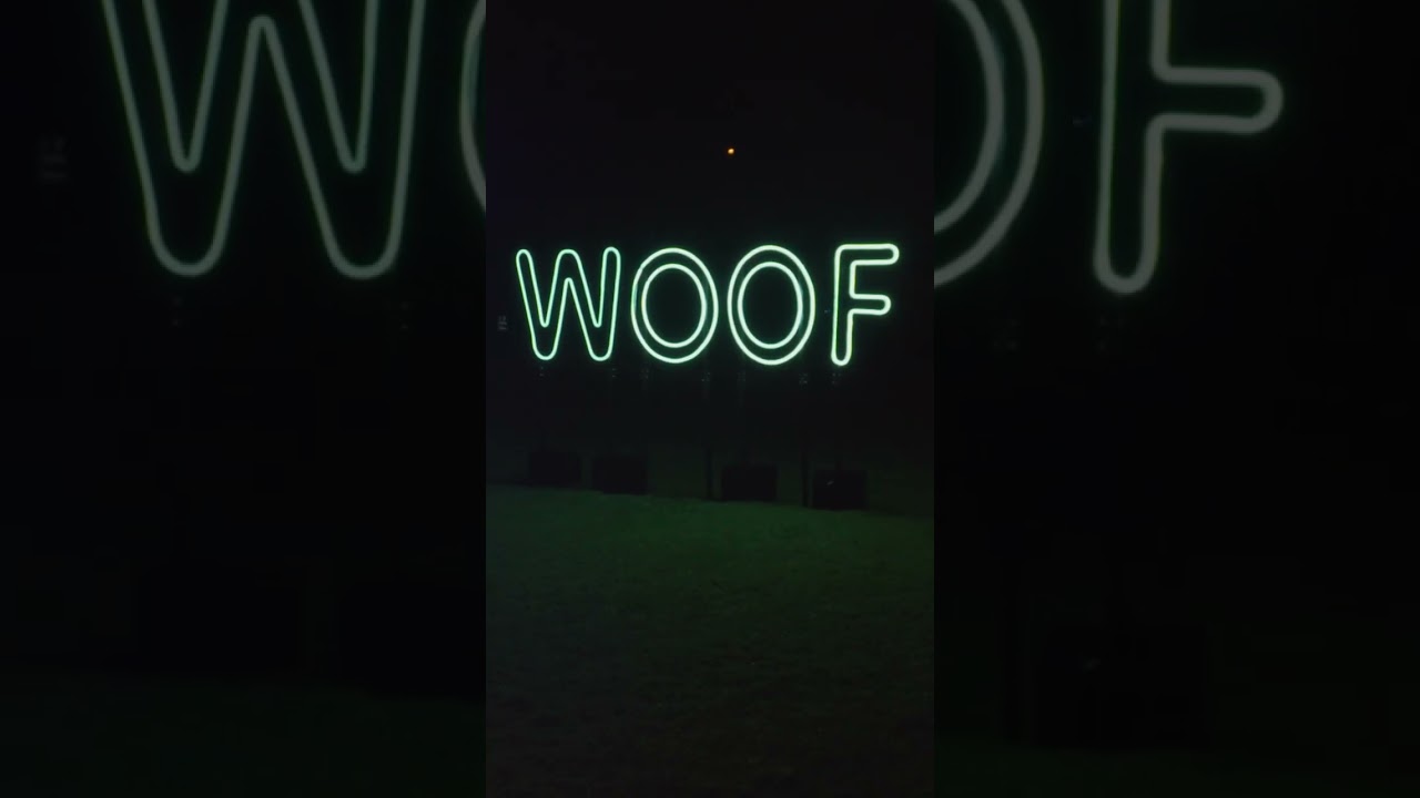 Neon Dog Park