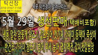 5월 29일, 알배기암꽃게, 참조기, 갑오징어, 갯가재, 간재미, 등택어, 죽상어, 가자미, 참조기, 부세, 병어, 농어, 액젓,(탁선장 목포 남도농수산 010 3167 7150)