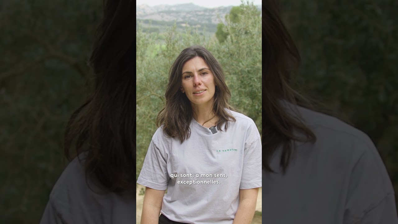 Grâce au département Marine fait la meilleure huile d'olive de France