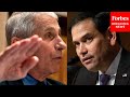 "Why Did You Dismiss The Lab-Leak Theory?": Rubio Grills Fauci On Past Statements Of COVID-19 Origin